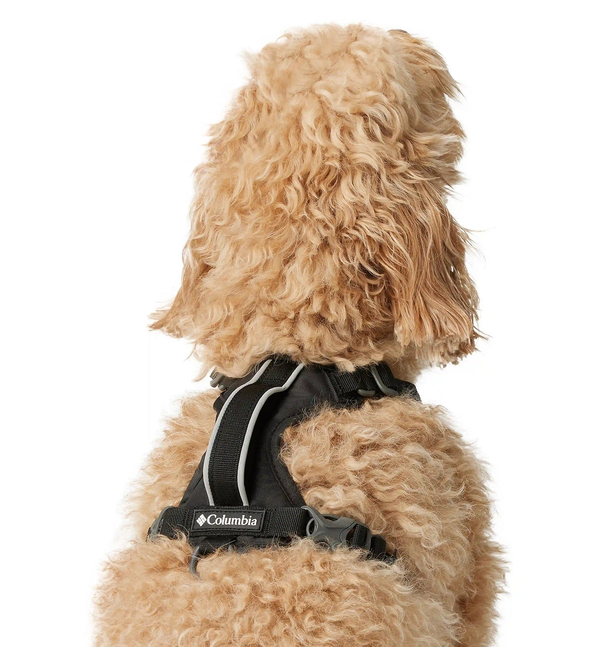 Silver Ridge Dog Harness