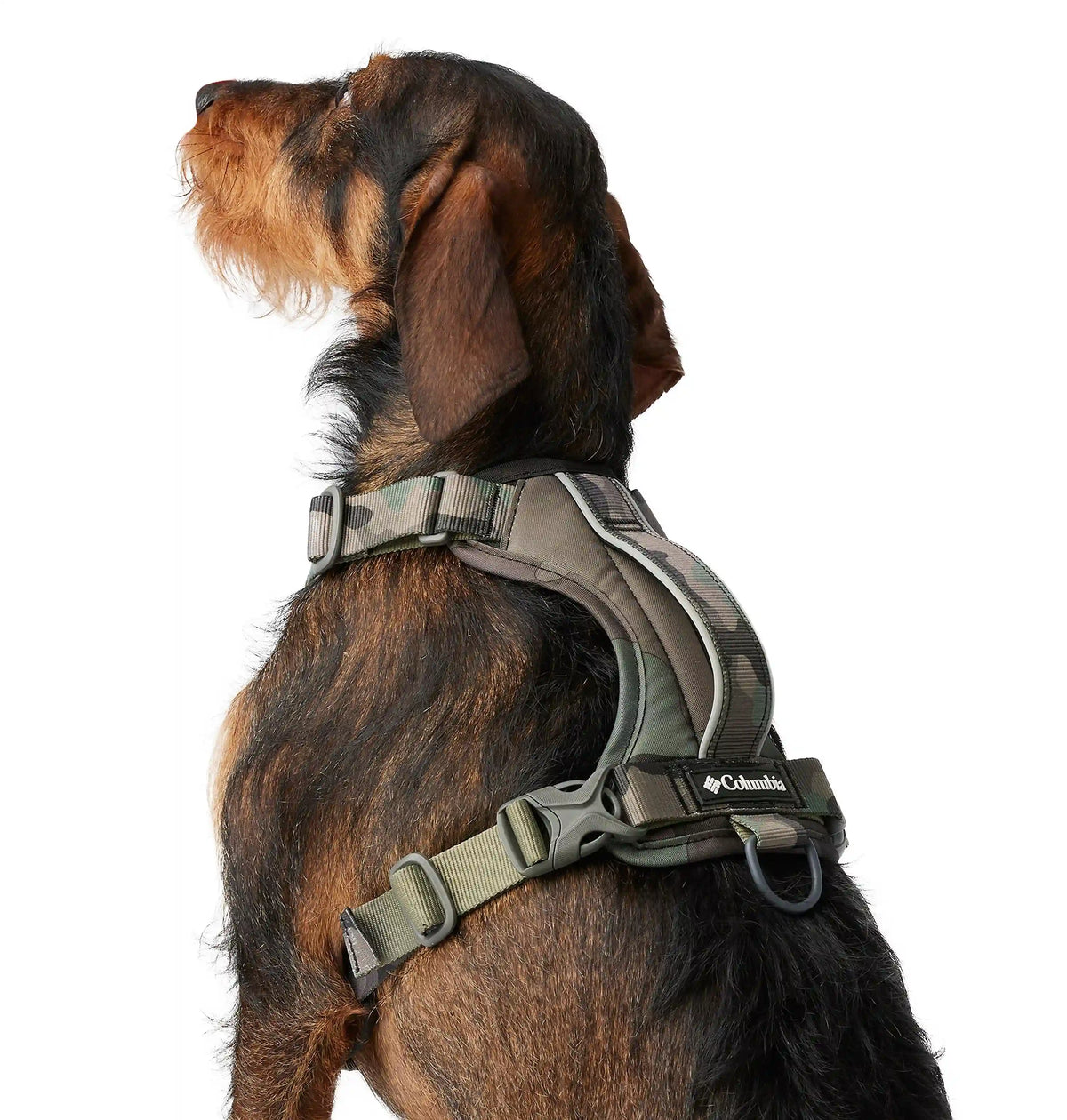 Silver Ridge Dog Harness