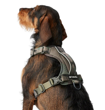 Silver Ridge Dog Harness