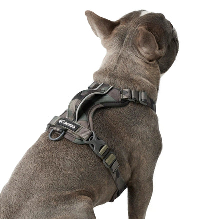 Silver Ridge Dog Harness
