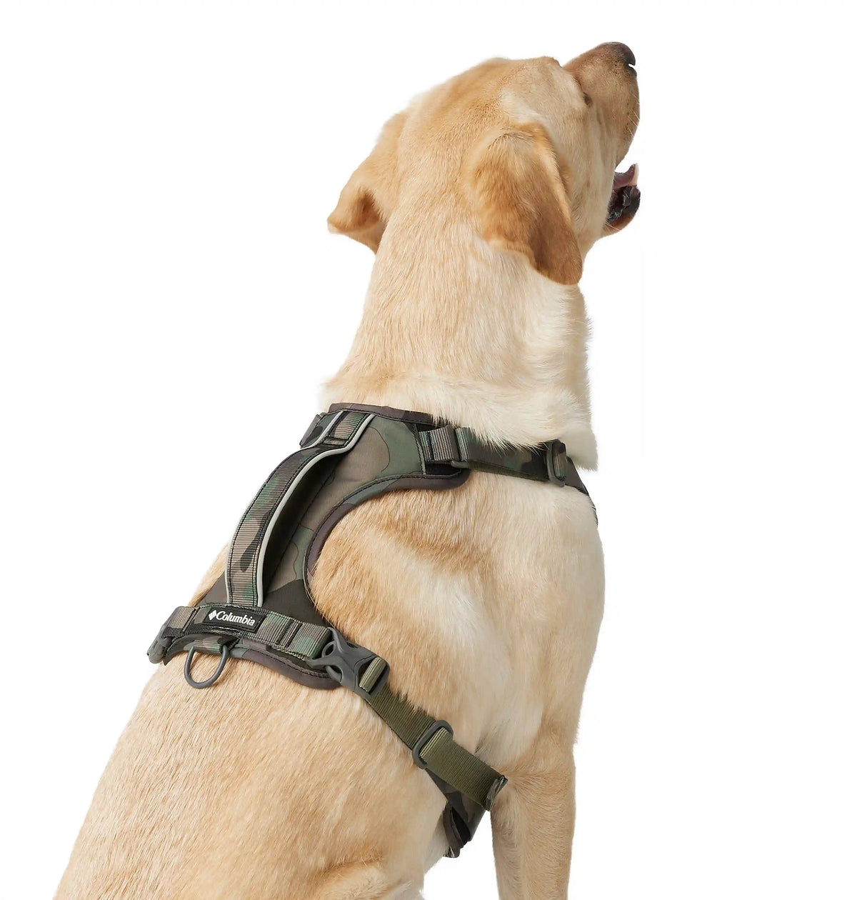Silver Ridge Dog Harness