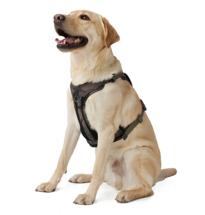 Silver Ridge Dog Harness