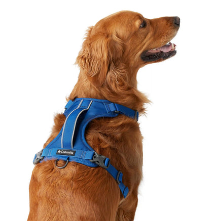 Silver Ridge Dog Harness