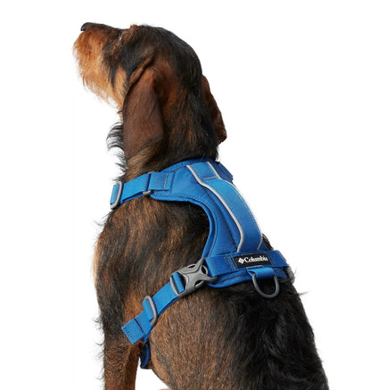 Silver Ridge Dog Harness