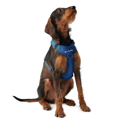 Silver Ridge Dog Harness