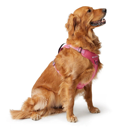 Silver Ridge Dog Harness