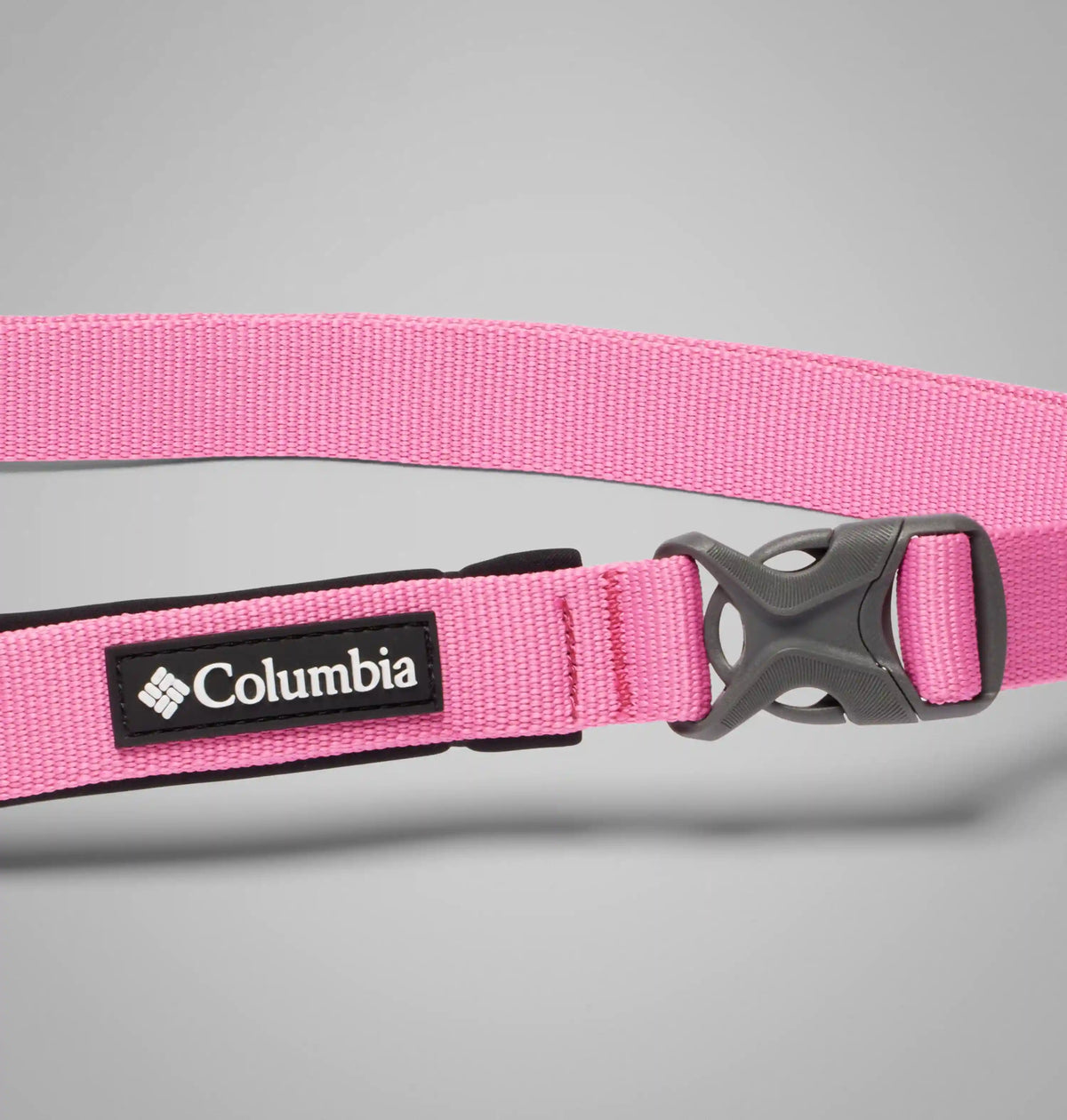 Silver Ridge Hands-Free Dog Stretch Leash