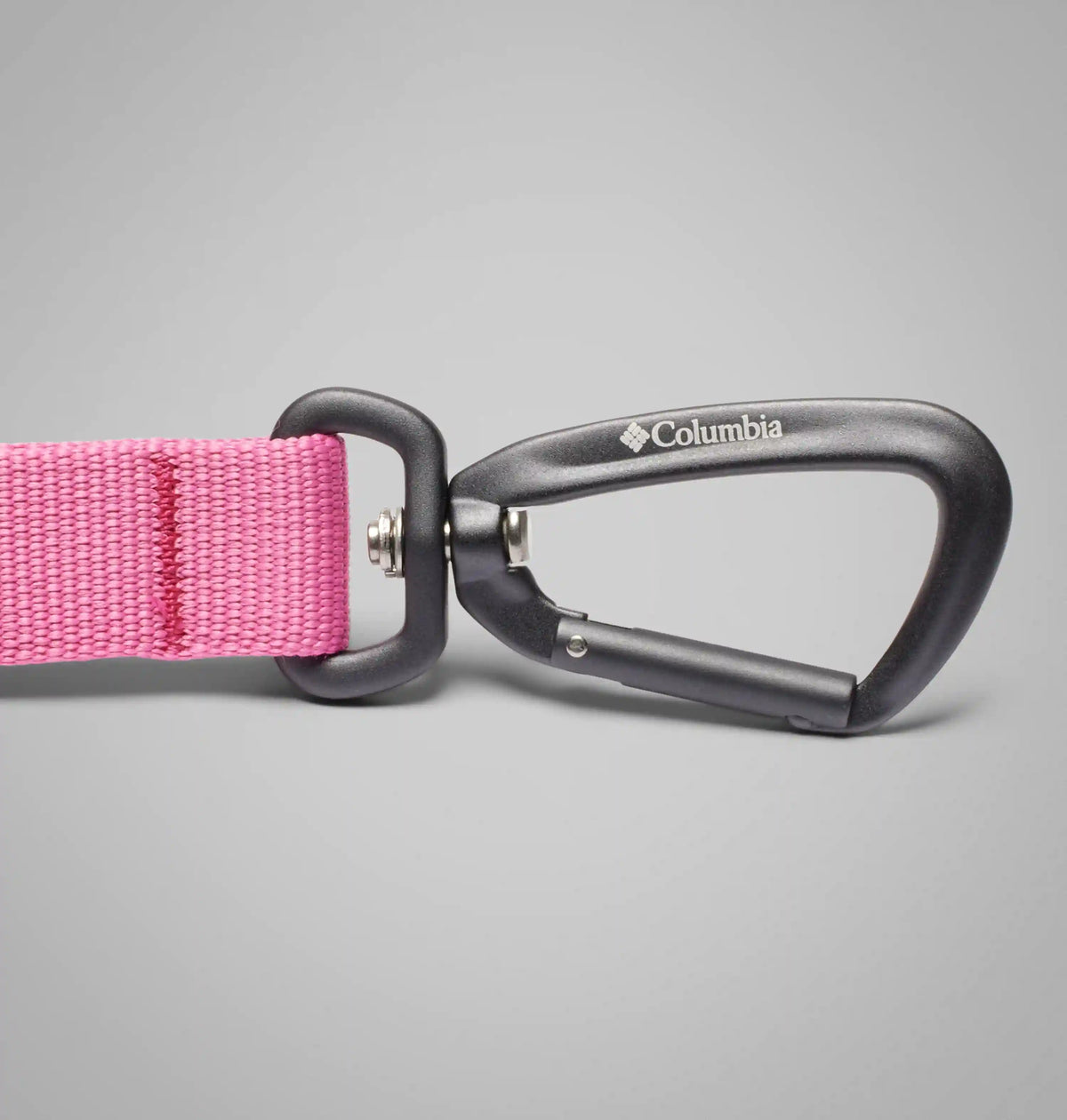 Silver Ridge Hands-Free Dog Stretch Leash
