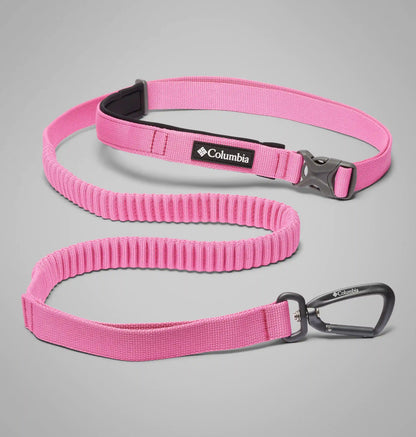 Silver Ridge Hands-Free Dog Stretch Leash