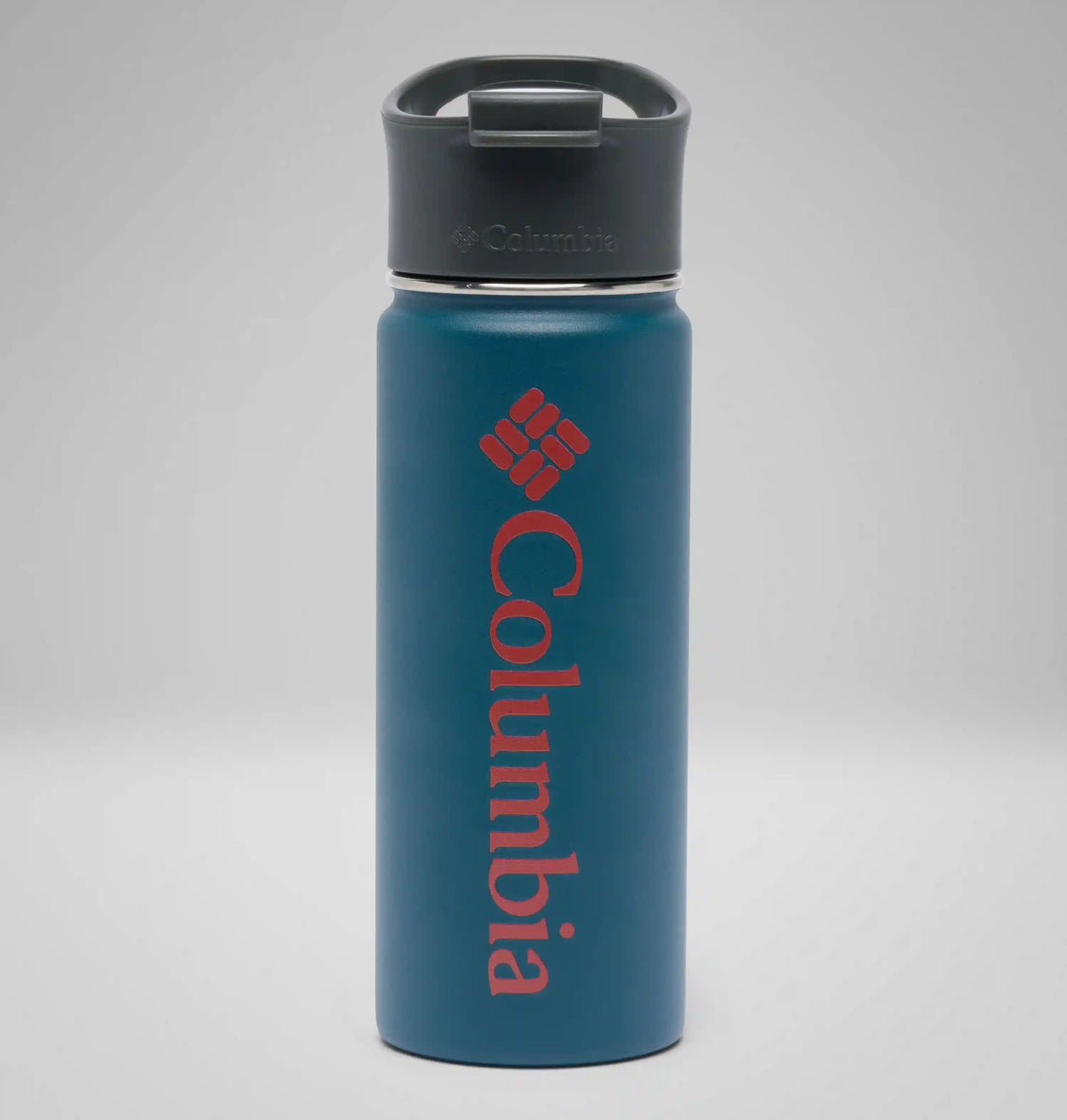 Stainless Steel Vacuum Bottle - 18 ounces