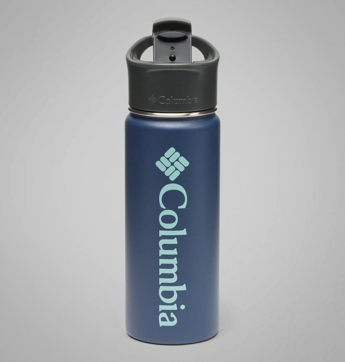 Stainless Steel Vacuum Bottle - 18 ounces