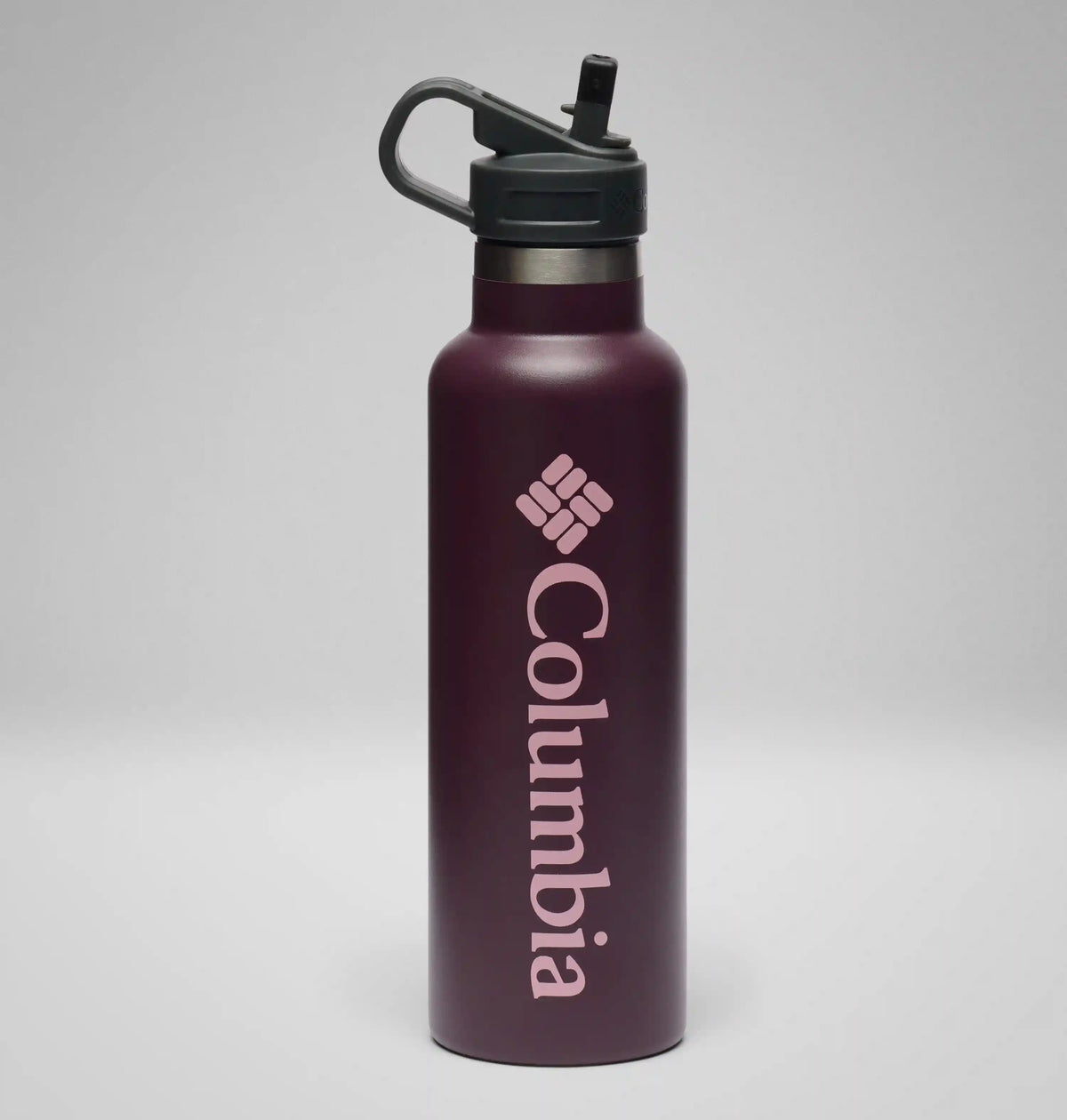 21 Ounce Stainless Steel Vacuum Bottle