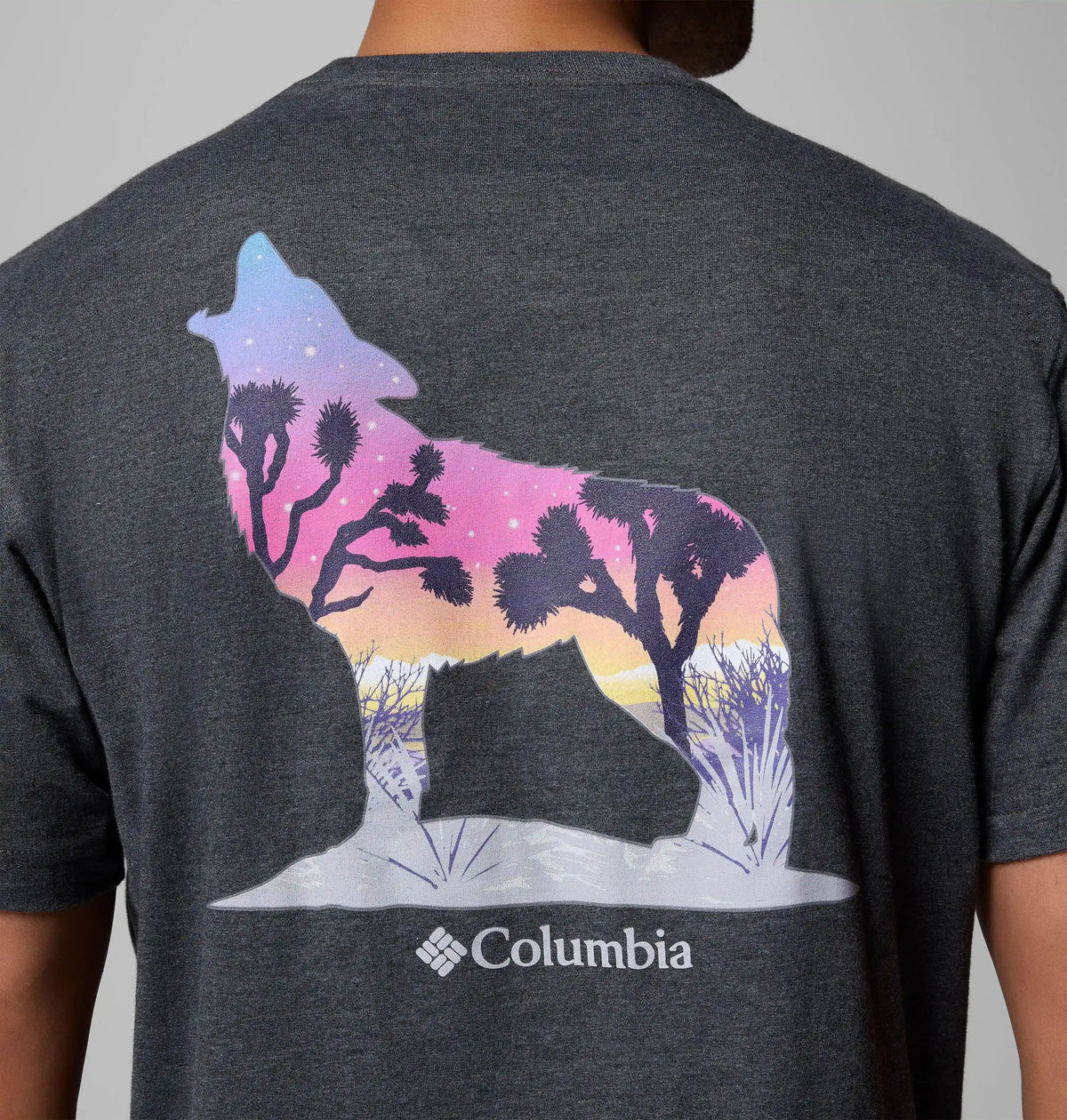 Men's Moab Graphic T-Shirt